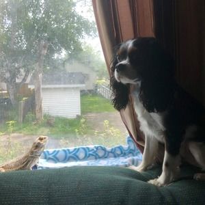 Meet your Posher, Debbie